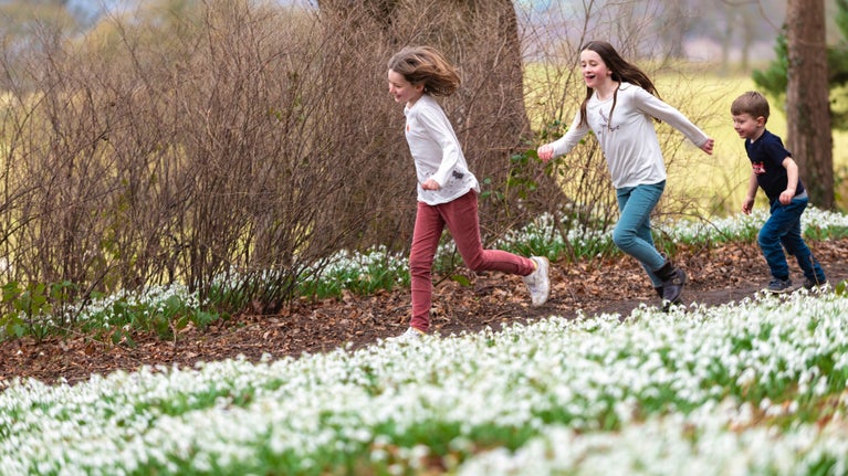 Children running past snowdrops at Chirk Castle, Wrexham, Wales